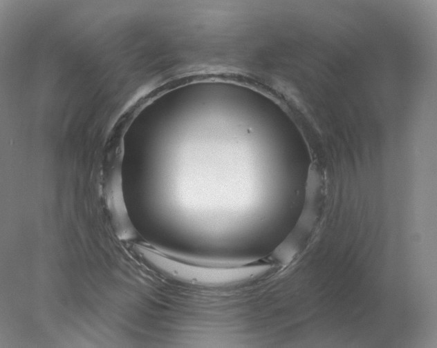 X0000077981165200611101654
