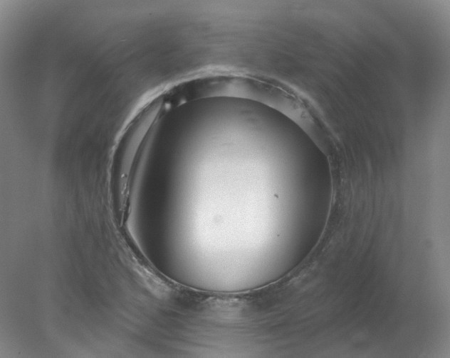 X0000077981168200611101654