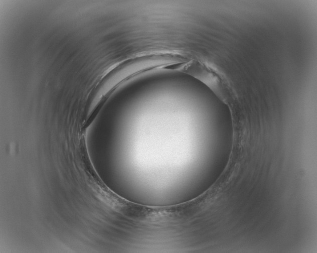 X0000077981169200611101654