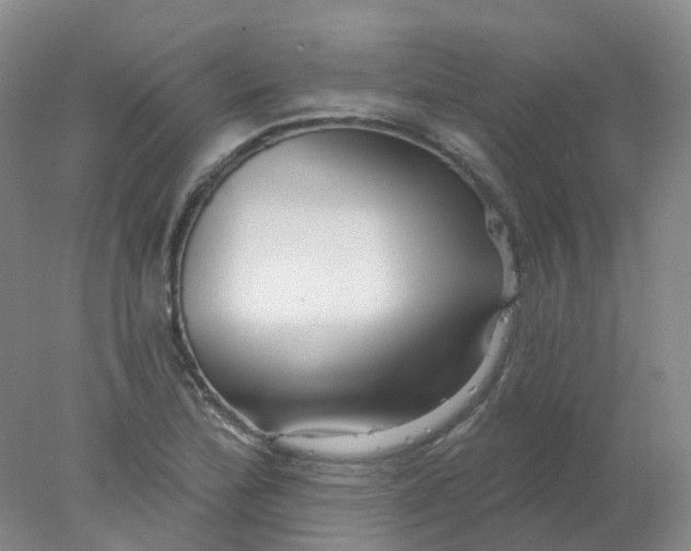 X0000077981172200611101654