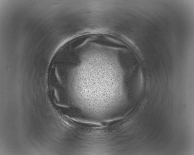X0000077981174200611101654