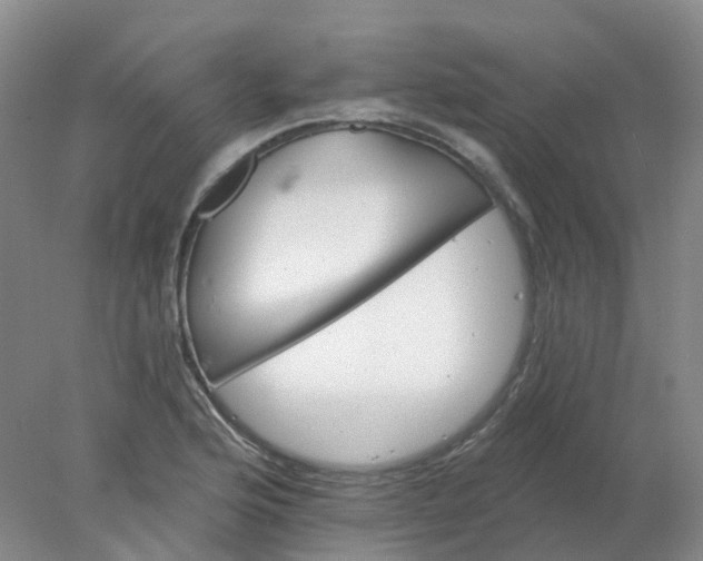 X0000077981176200611101654