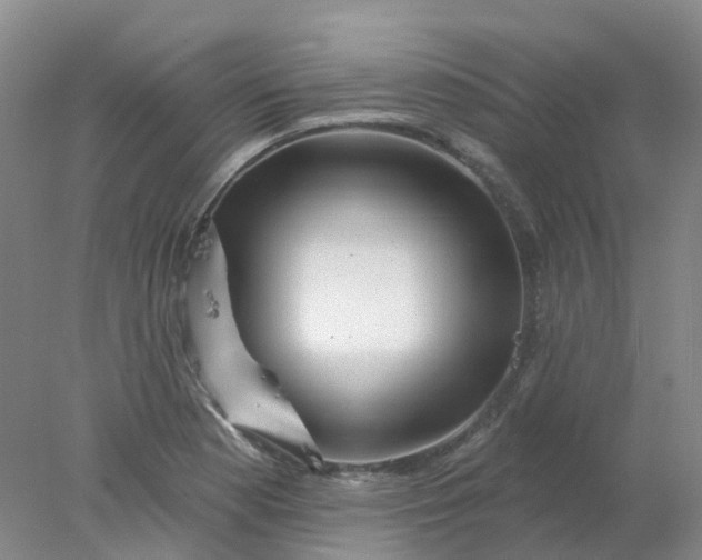 X0000077981177200611101654