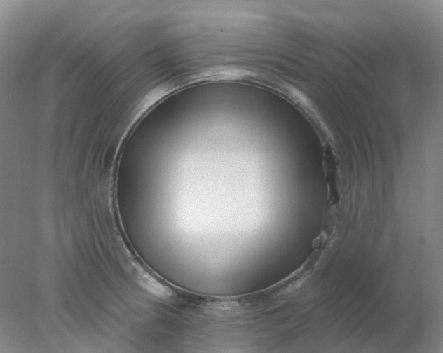 X0000077981186200611101654