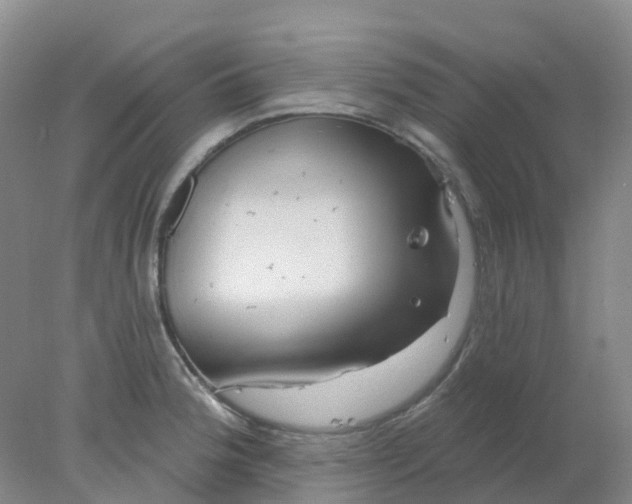 X0000077981188200611101654