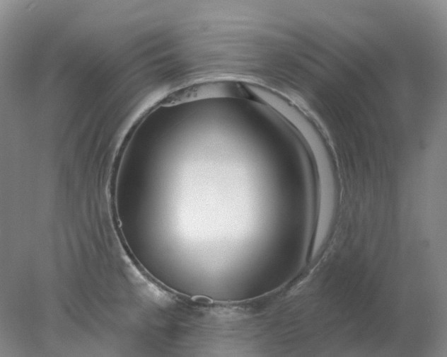 X0000077981189200611101654