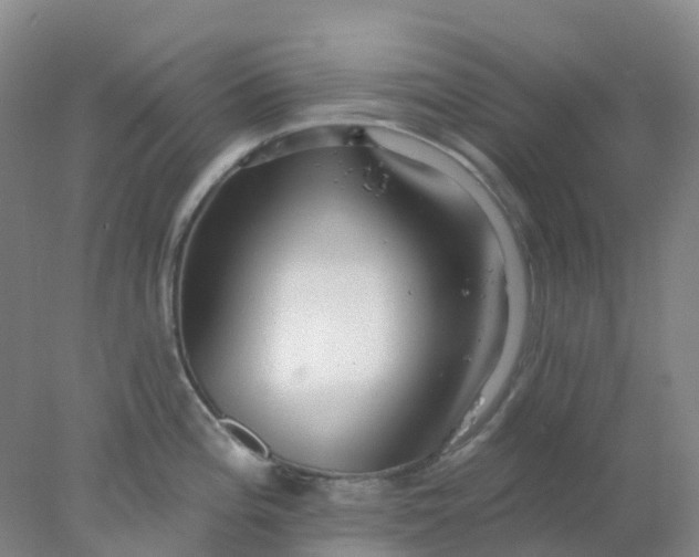 X0000077981196200611101654