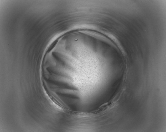 X0000077981199200611101654