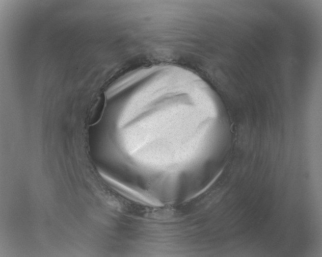 X0000077981201200611101653
