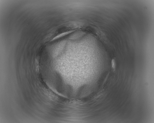 X0000077981203200611101653