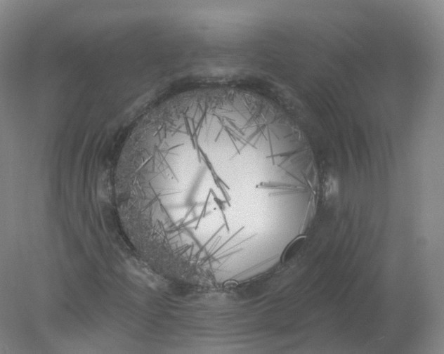 X0000077981204200611101653