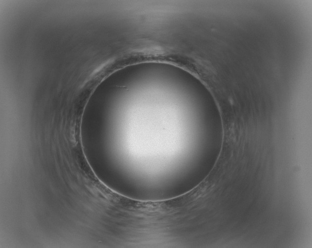 X0000077981205200611101653