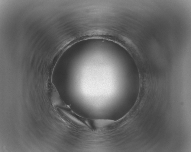 X0000077981217200611101653