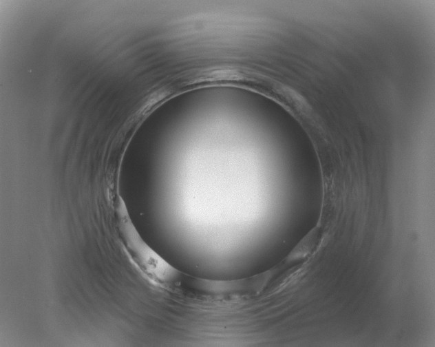 X0000077981225200611101653