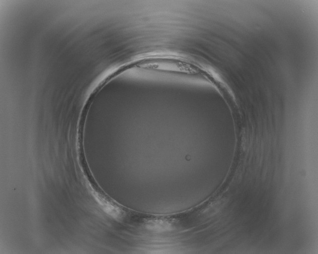 X0000077981229200611101654