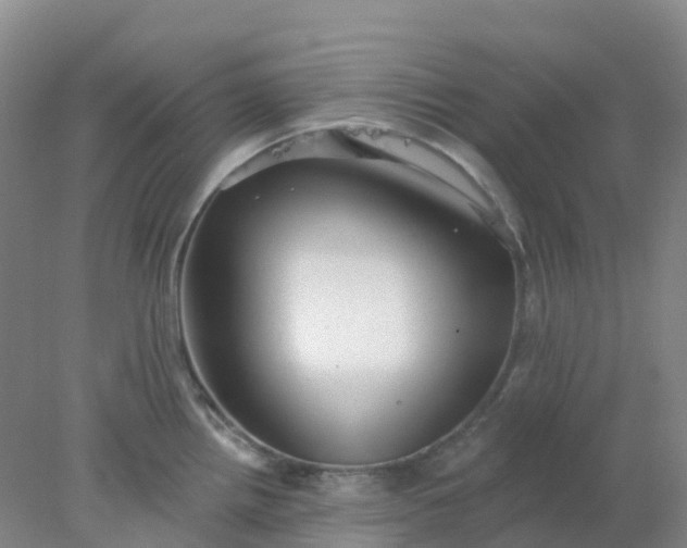 X0000077981242200611101654