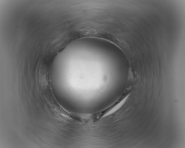 X0000077981250200611101653