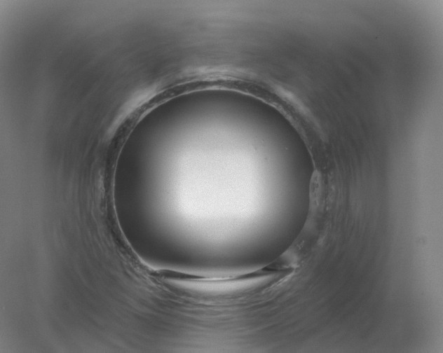 X0000077981261200611101653