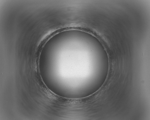 X0000077981262200611101653