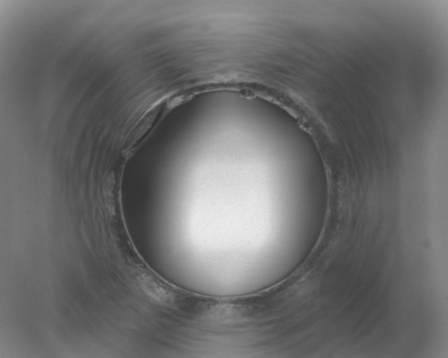 X0000077981265200611101653