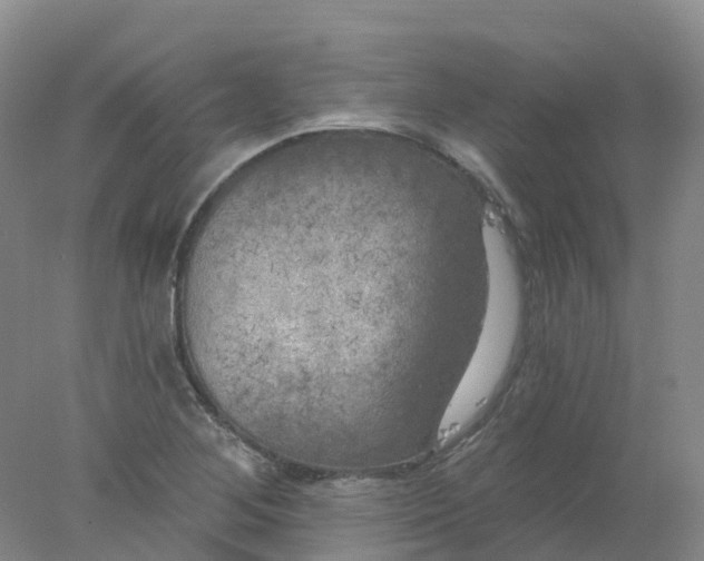 X0000077981268200611101653