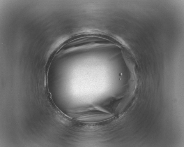 X0000077981269200611101653