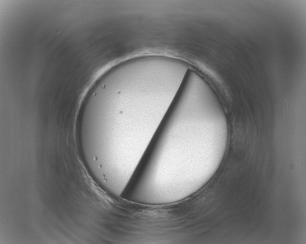 X0000077981272200611101653