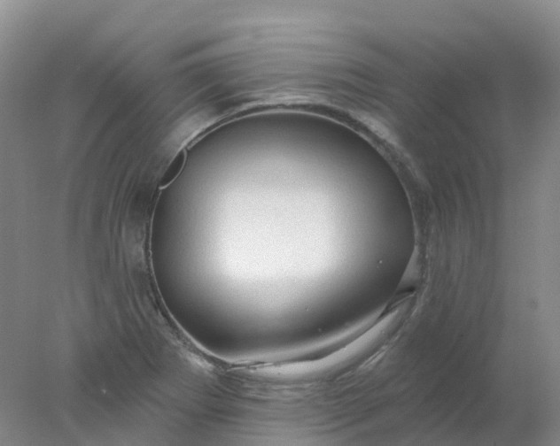 X0000077981273200611101653
