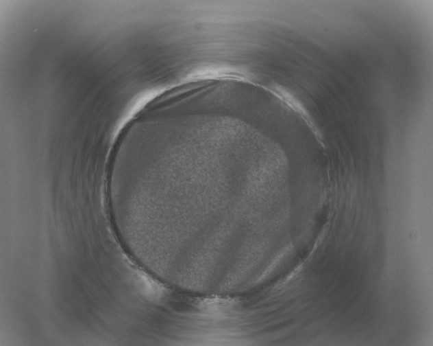 X0000077981277200611101653