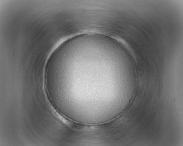 X0000077981286200611101652