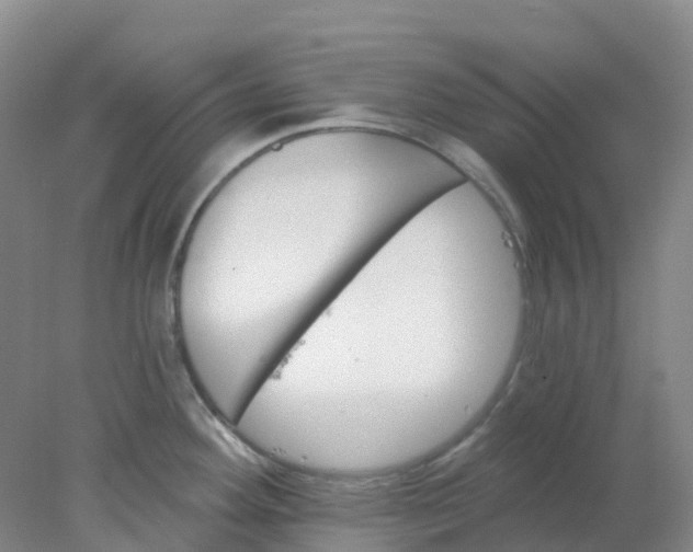 X0000077981292200611101652