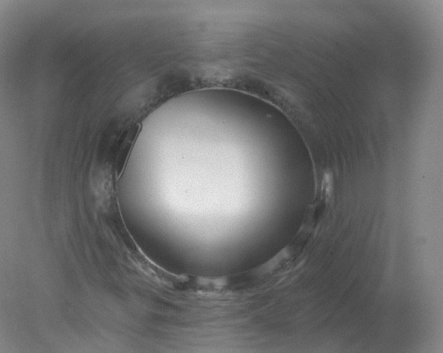 X0000077981299200611101652