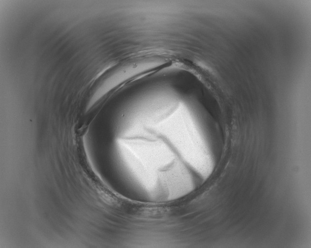 X0000077981305200611101652