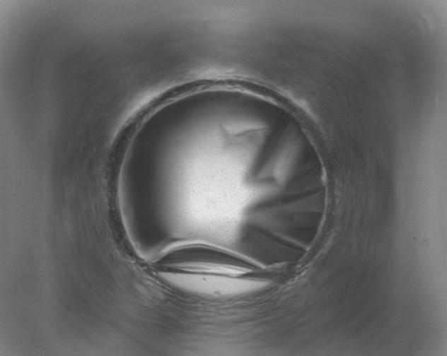 X0000077981311200611101652