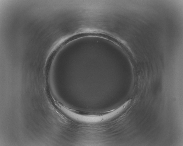 X0000077981319200611101652