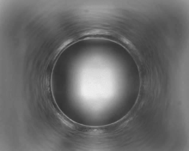 X0000077981321200611101652