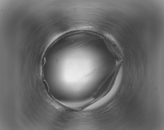 X0000077981324200611101652