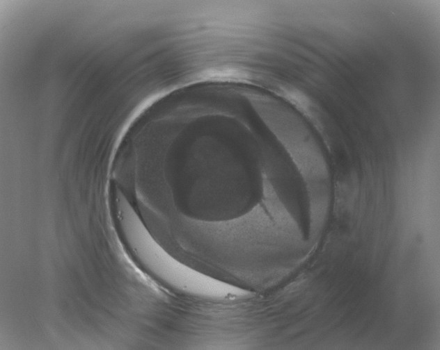 X0000077981331200611101652
