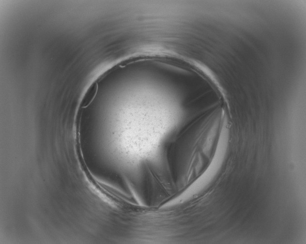 X0000077981335200611101652