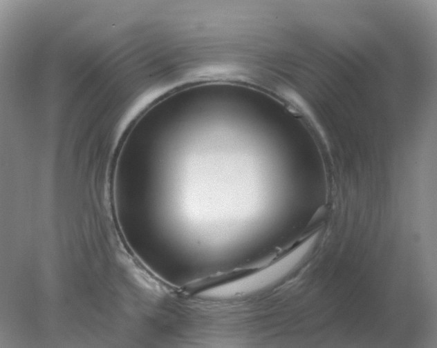 X0000077981336200611101652