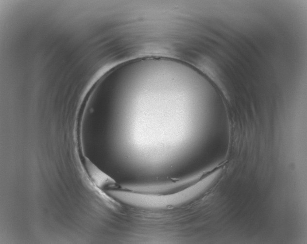 X0000077981339200611101652
