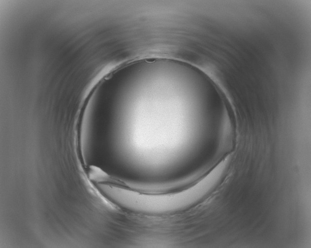 X0000077981341200611101652