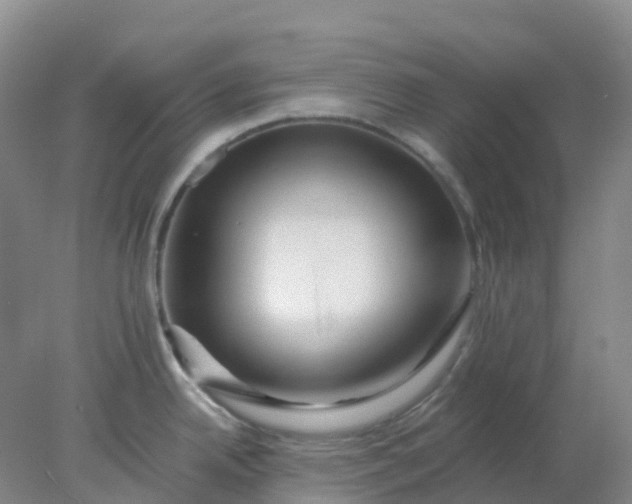 X0000077981342200611101652