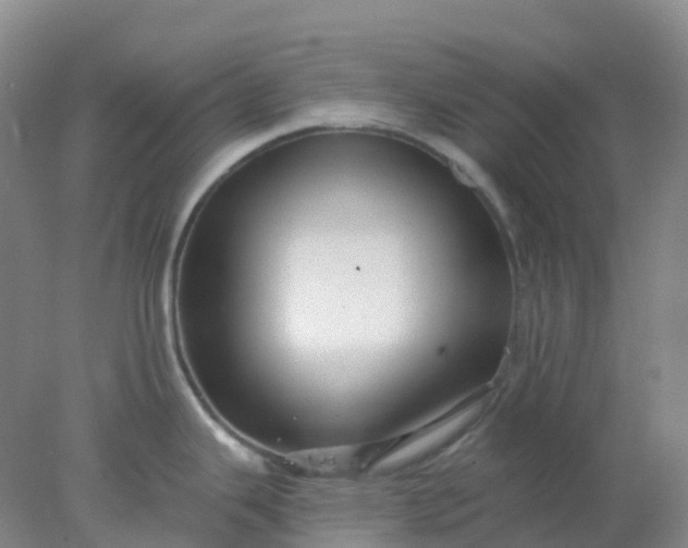 X0000077981343200611101652