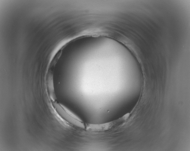 X0000077981344200611101652