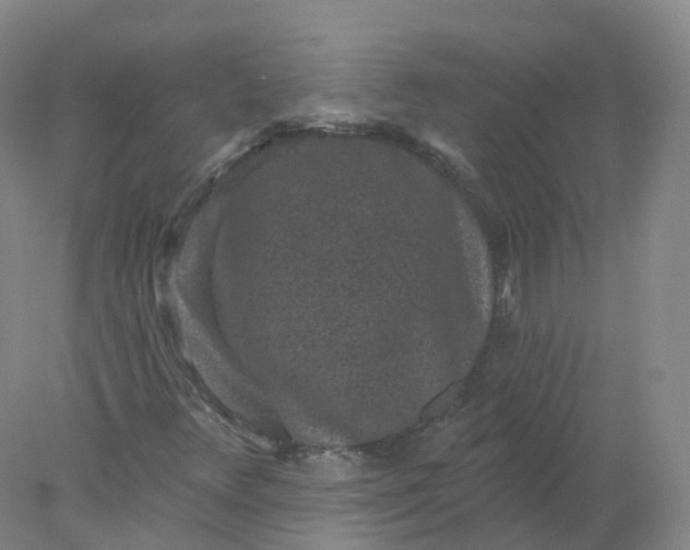 X0000077981348200611101651
