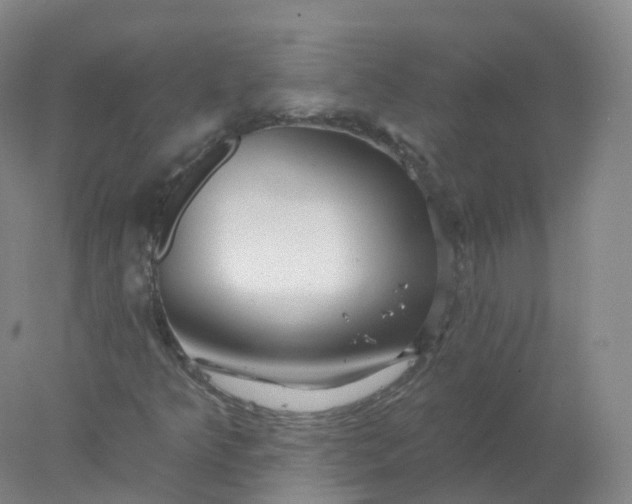 X0000077981349200611101651
