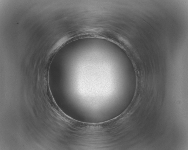 X0000077981354200611101651