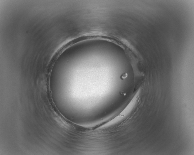 X0000077981356200611101651