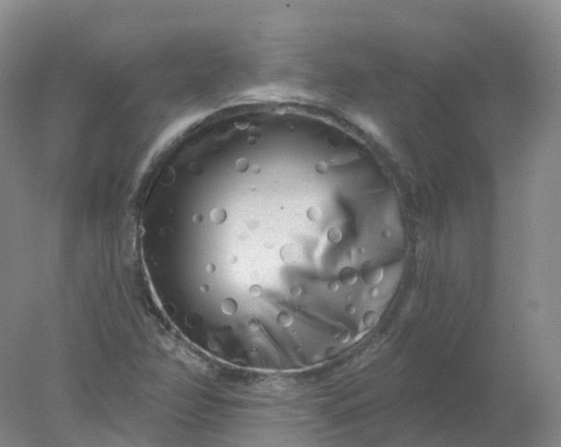 X0000077981358200611101651